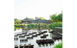 2026襄阳夏季团建新篇：贝塔团建以‘长安的荔枝’解锁国风团建新体验